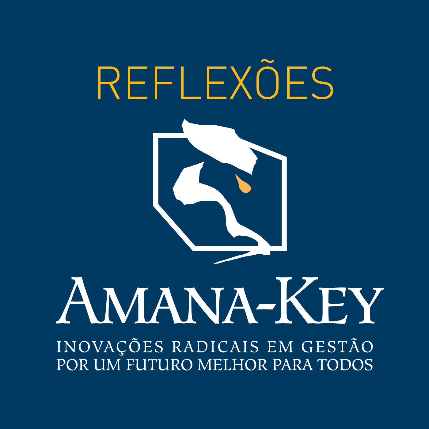 Reflexões Amana-Key
